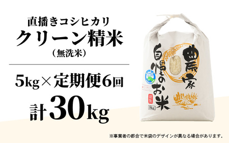 【令和7年産】《定期便6回》ワルツ農場の直播き コシヒカリ クリーン精米（無洗米） 5kg（計30kg） / お米 ご飯 白米 発送直前 精米 つや 艶 甘味 旨み あわら市産 福井県産 慣行栽培 コ