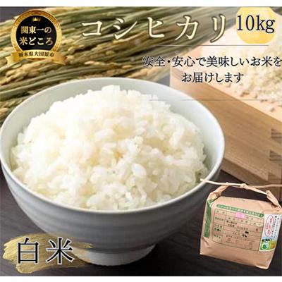 ふるさと納税 大田原市 【令和7年産新米 数量限定】古谷農産 栽培期間中農薬・化学肥料不使用 コシヒカリ 精米 10kg