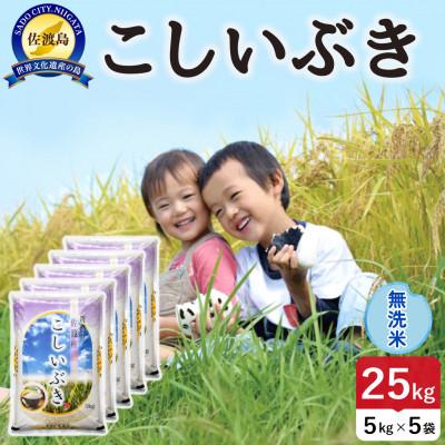 ふるさと納税 佐渡市 【新米】令和8年産 佐渡島産こしいぶき 無洗米25kg【食の宝島佐渡】