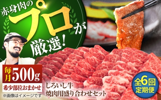 【牧場直送】【6回定期便】佐賀県産しろいし牛 焼肉用 盛り合わせ セット（希少部位）各回500g（3～4人前） 【佐賀セントラル牧場】佐賀県産 肉 お肉 牛肉 焼き肉 BBQ バーベキュー モモ カタ 肩 バラ 国産 焼肉 九州 佐賀県 白石町  白石 [IAH024]