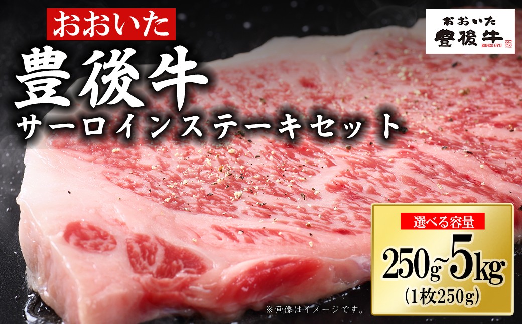 
                  【選べる容量】豊後牛サーロインステーキ 250g～5kg　D5-7.10oya
                