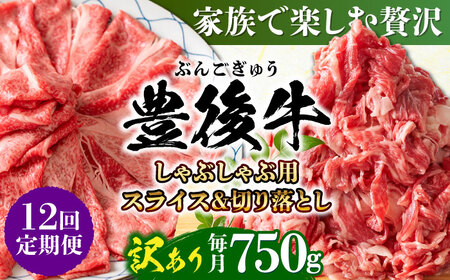 【全12回定期便】訳あり！おおいた豊後牛 しゃぶしゃぶすき焼き セット(スライス・切り落とし)750g / 牛 牛 牛 牛 牛 牛 / 日田市 / 株式会社MEAT PLUS[AREI079]