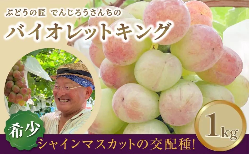 【先行予約 2026年発送 】＼バイオレットキング  約1kg／ 冷蔵 高級 種無し 種なし シャインマスカット ブドウ ぶどう 果物 甘い 巨峰 希少 福島 田村市  鈴木農園