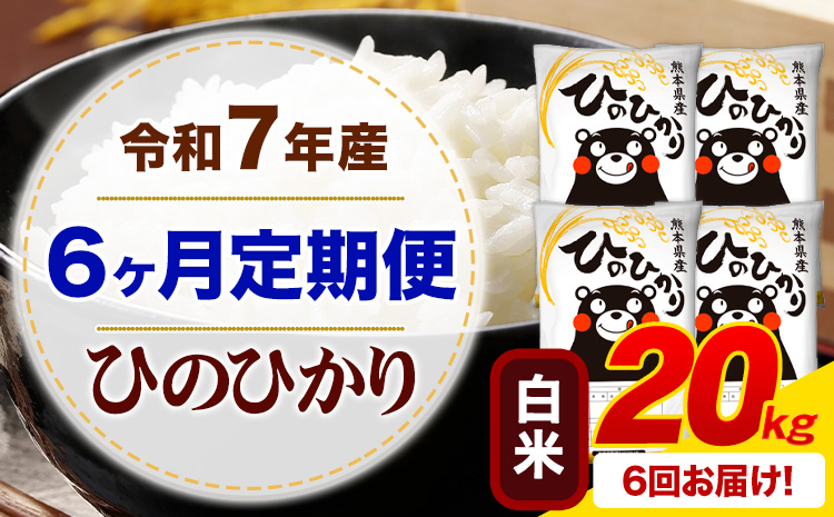 【6ヶ月定期便】 令和7年産 白米 ひのひかり 定期便 20kg《お申込み翌月から出荷》 熊本県産 ふるさと納税 精米 ひの 米 こめ ふるさとのうぜい ヒノヒカリ コメ お米---mifune_lcl_1389_mo6---