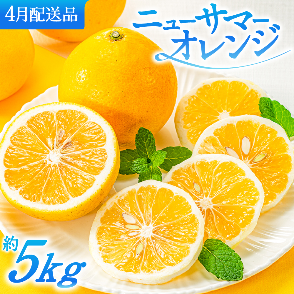 AA115.福岡柑橘王国.ニューサマーオレンジ約5kg／2027年4月配送
