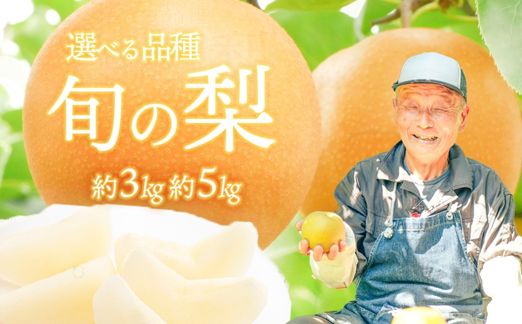 
                  ＜ 先行予約 ＞【選べる内容量 / 品種】【最短2026年8月上旬以降発送】片野果樹園 幸水 豊水 新星 かおり 新高 王秋 梨 約 3kg 5kg 幸水梨 なし ナシ フルーツ 果物 旬 産地直送 国産 茨城県 こうすい ほうすい しんせい にいたか おうしゅう
                