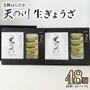 【ふるさと納税】交野はらだや《天の川生ぎょうざ／48個》｜冷凍餃子 お取寄せ にんにく無し 旨味調味料保存料無添加 ヴィーガン 国産小麦使用 国産米粉使用 肉不使用 [0048]