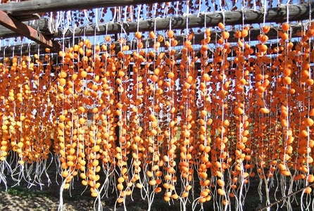 紅干し柿３２果　Ｌサイズ　0112-2414