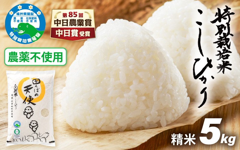 
                  【中日賞受賞】農薬不使用 特別栽培米コシヒカリ5kg【精米】 福井県認証区分1取得「田んぼの天使」越前町【5キロ お米 コメ 農薬化学肥料不使用 送料無料】 [e10-b008]
                