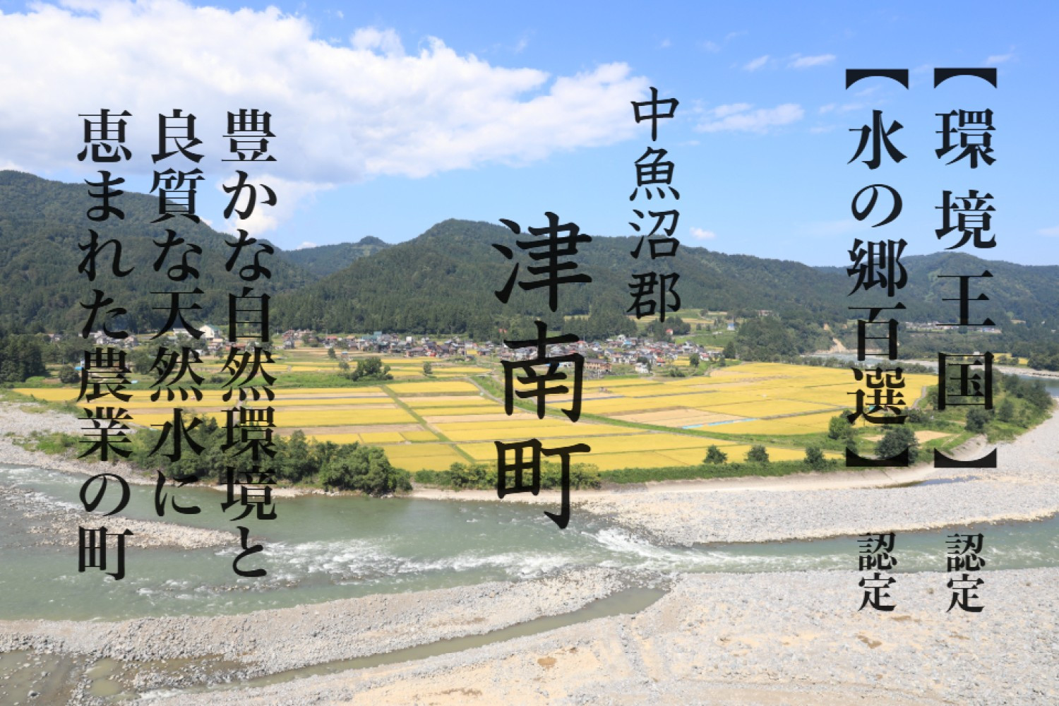 【 数量限定 】《 令和6年産米 》 魚沼産コシヒカリ 5kg 一等米 ( 慣行栽培 )