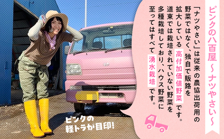 【先行受付】R8年産 トウモロコシ（ゴールドラッシュ） 5本から6本 ピンクの八百屋 ナツやさい | とうもろこし トウモロコシ ゴールドラッシュ 旬 新鮮 野菜 夏 甘い 産地直送 北海道 津別町 