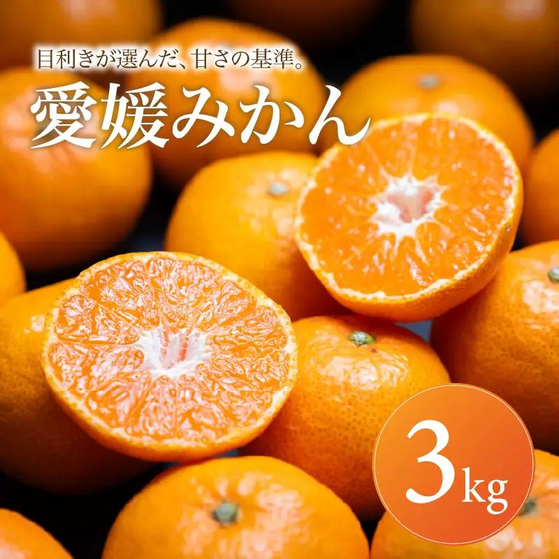 愛媛 みかん 家庭用 3kg 【2026年11月上旬頃から順次発送】 | 温州みかん ミカン mikan みかん 蜜柑 訳ありフルーツ 柑橘 果物 おすすめ お勧め お取り寄せ ギフト 愛媛県 松山市 【MKN046】