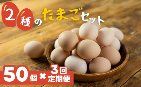 【定期便】希少2種 たまごセット 50個 3回定期便 割れ保証付き