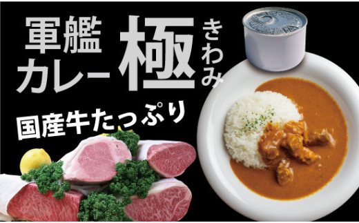 京都舞鶴 軍艦カレー極 4缶 210g/缶 国産牛 牛肉 牛 ビーフカレー レトルト 長期保存 備蓄 備蓄用 災害 防災 防災グッズ 非常食 避難グッズ 避難食 災害対策 食料 食材 キャンプ アウトドア 登山 保存食 缶詰 カレー缶 カレー 缶 京都 舞鶴 CAN BRICK