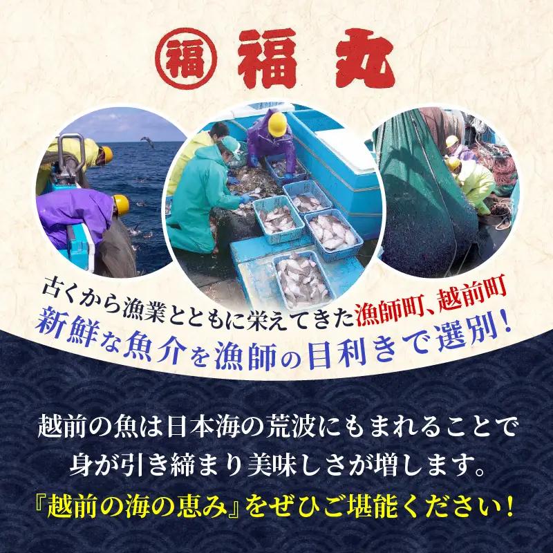 お試し 越前町産 天然 甘えび素干し ほたるいか素干し 楽しみ 食べ比べ  セット 50g × 各1パック【福井県 海鮮 えび エビ 海老 素干し あまえび いか ホタルイカ イカ 肴 お取り寄せ グ