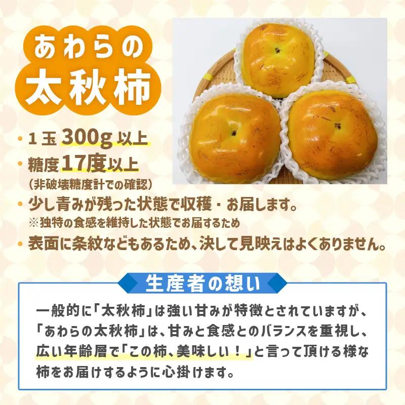  【先行予約】「越前柿」だけじゃないよ！希少なあわらの「太秋柿」6個入（1.8kg以上） ／ 果物 フルーツ 産地直送 期間限定 ※2026年10月下旬以降発送予定 [aw131-a001]