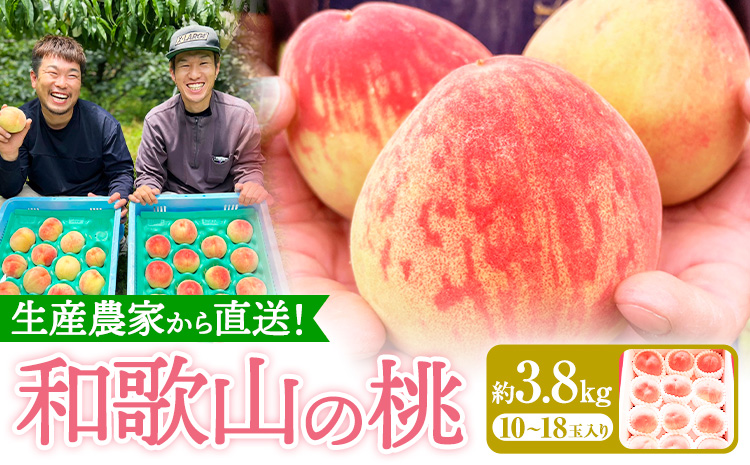 和歌山県産の桃 約3.8kg (10~18玉) GREEN JUNCTION株式会社《2025年6月中旬-2025年8月末頃出荷》和歌山県 紀の川市 桃 果物 果実 フルーツ 自然栽培 送料無料---wsk_cgjt4_bc68_24_19000_3800g---