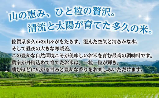山の恵み、ひと粒の贅沢。清流と太陽が育てた多久の米。 