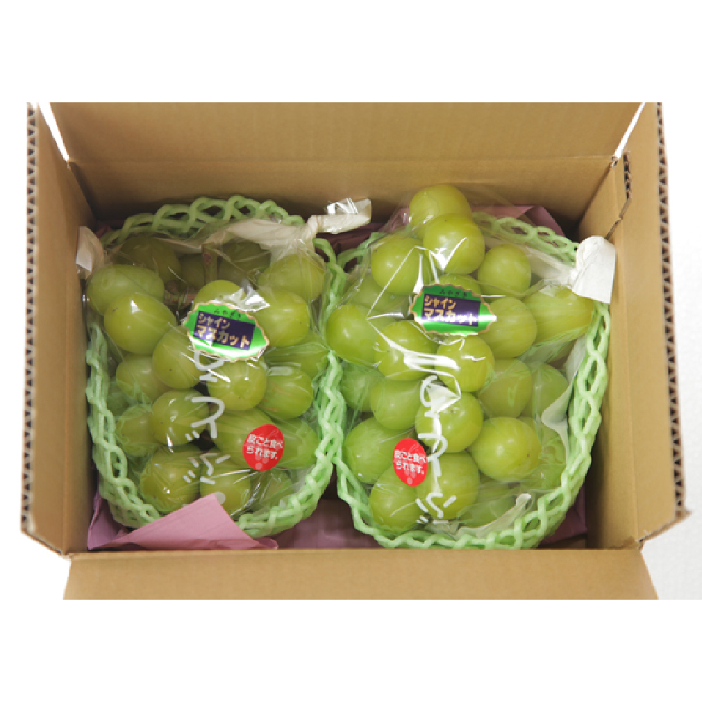 【F115】【数量限定】シャインマスカット 1.2kg 農家直送（ぶどう 葡萄 高級フルーツ 甘い 高糖度 ジューシー みずみずしい 芳醇 数量限定 期間限定 旬の果物 人気返礼品 )_イメージ4