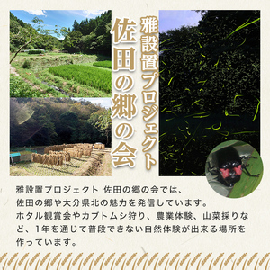 ＜新米・令和7年産＞佐田の郷の米 特別栽培米(5kg)お米 白米 ごはん ヒノヒカリ ひのひかり ブランド米 常温 常温保存【111700704】【雅設置プロジェクト　佐田の郷の会】