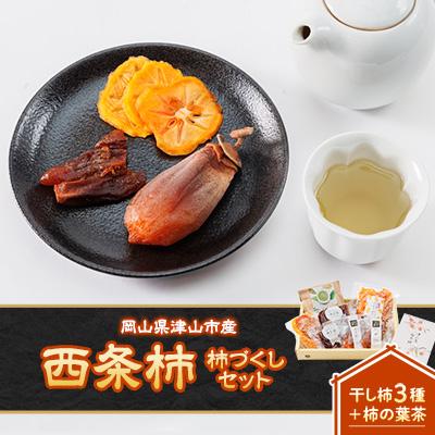 ふるさと納税 津山市 岡山県津山市産「西条柿」柿づくしセット(4種類・7個入り)