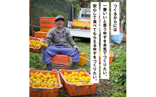 ゆずしぼり/200ml3本（無塩） 柚子 ゆず 果汁100% 搾り汁 ゆず酢 柚子酢 酢 調味料 有機 オーガニック 無添加 プレゼント ギフト 贈り物 贈答用 お中元 お歳暮 父の日 母の日 敬老の
