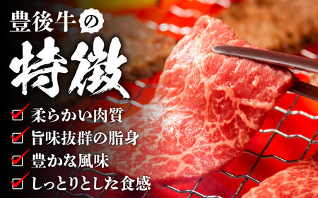 【全6回定期便】おおいた豊後牛 赤身モモ 焼肉用 1kg(500g×2P) 日田市 / 株式会社MEAT PLUS　牛 うし 黒毛和牛 和牛 豊後牛[AREI096]