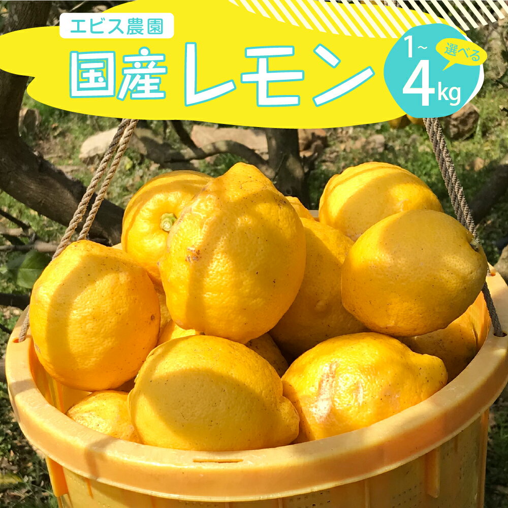 【ふるさと納税】 2025年 12月 上旬～発送【栽培期間中 農薬不使用】有機JAS認証 皮まで美味しい 希少な国産オーガニックレモン 約1kg / 約2kg / 約4kg / 内容量が選べる れもん lemon フルーツ 果物 柑橘 産地直送 12月初旬までグリーンレモン 国産 広島県 呉市