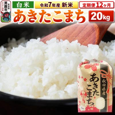 ふるさと納税 男鹿市 《定期便12ヶ月》令和7年産 【白米】秋田県産 あきたこまち 20kg|23_kml-032012