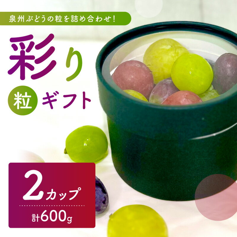 【ふるさと納税】泉州ぶどう【彩り粒ギフト】色とりどりのぶどうのギフト ー彩珠ー