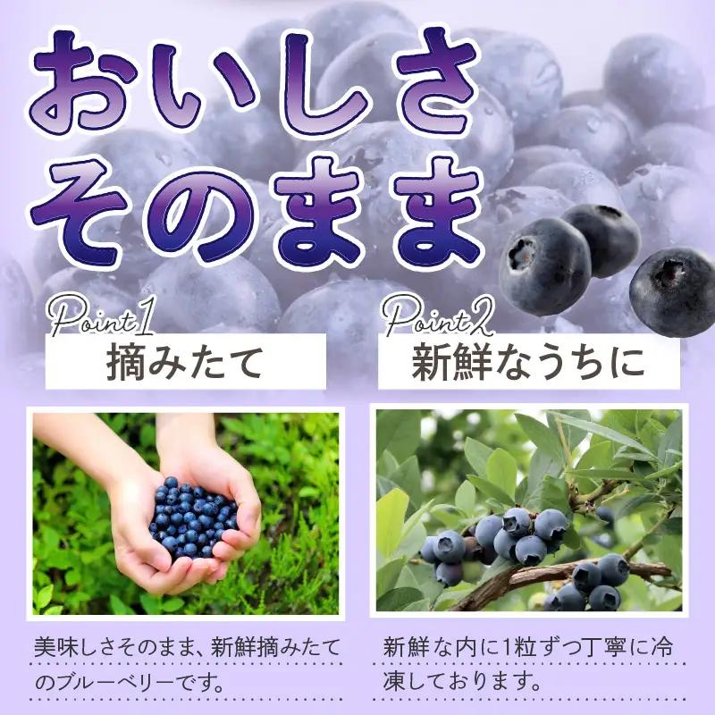 冷凍ブルーベリー 1kg | フルーツ 果物 ベリー