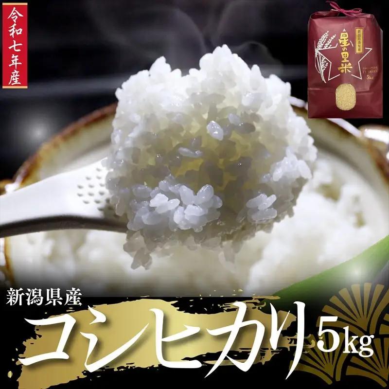 星の里米 コシヒカリ 清里産 5kg 精米 コシヒカリ