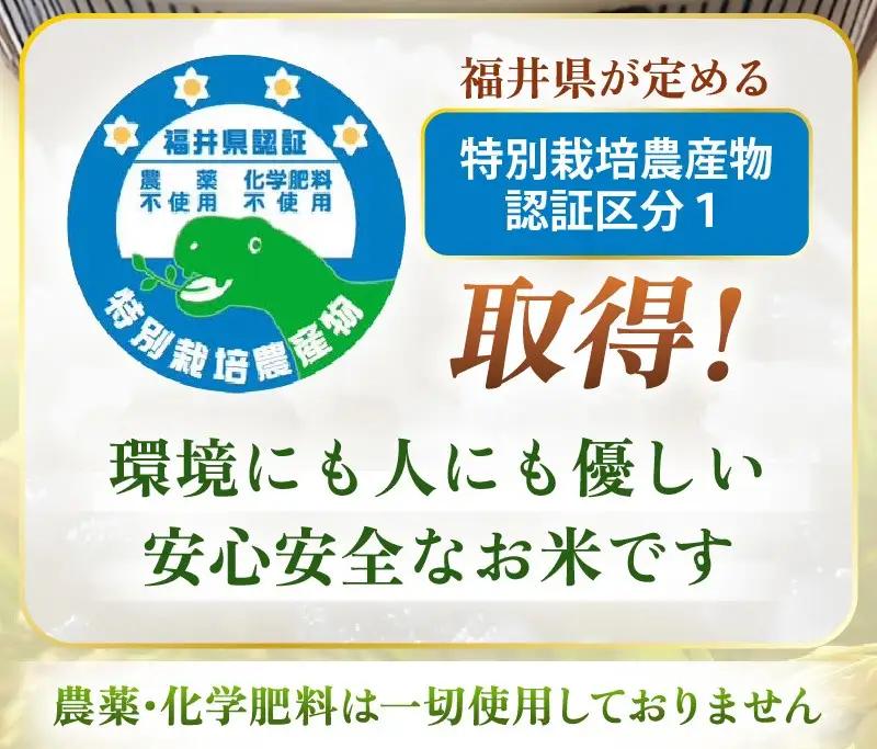 定期便 3ヶ月　新米【令和8年産】特別栽培米コシヒカリ5kg × 3回(玄米） 農薬化学肥料不使用【10月中旬以降発送】 [e81-e002_02]