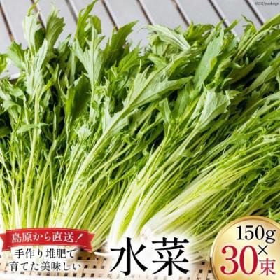 ふるさと納税 島原市 【毎月定期便】産地直送　水菜　30束全3回