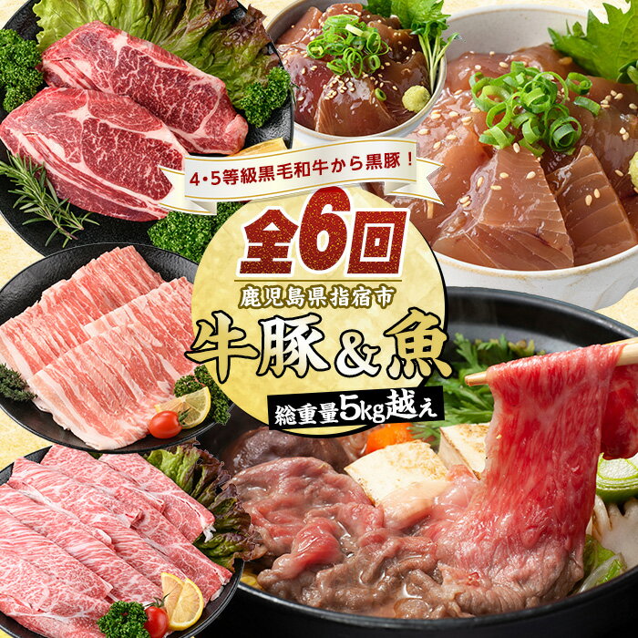 【ふるさと納税】＜定期便・全6回(連続)＞【総重量5kg越え】4・5等級黒毛和牛・黒豚・マグロ丼・カツオ丼・カツオのたたき・すり身定期便【水迫畜産】豚肉 牛肉 生ハム すき焼き 和牛 スライス 焼肉 ロース 黒豚 鍋 小分け ステーキ 焼き肉 かつお 指宿 鹿児島 いぶすき