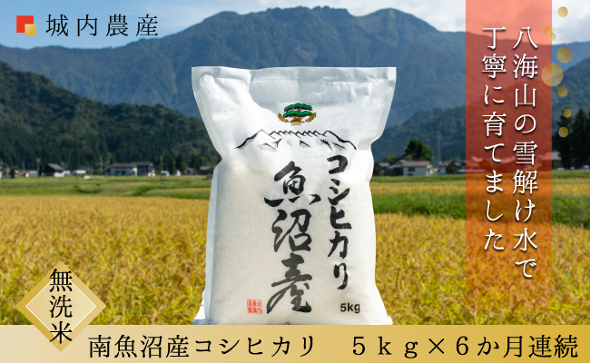 【令和８年産新米予約】【お米定期便/全６回】南魚沼産コシヒカリ　無洗米５ｋｇ＜５割減農薬栽培米＞城内農産【定期便 銘柄米 ブランド米 無洗米 こしひかり コシヒカリ 魚沼産 新潟米】【2026年9月下旬から1ヶ月以内に順次発送予定】