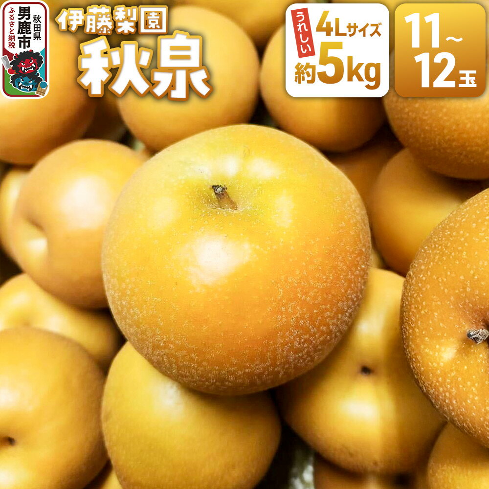 【ふるさと納税】【先行受付】 男鹿梨 秋泉 梨 約5kg「伊藤梨園」 4L 11玉〜12玉 秋田県 男鹿市