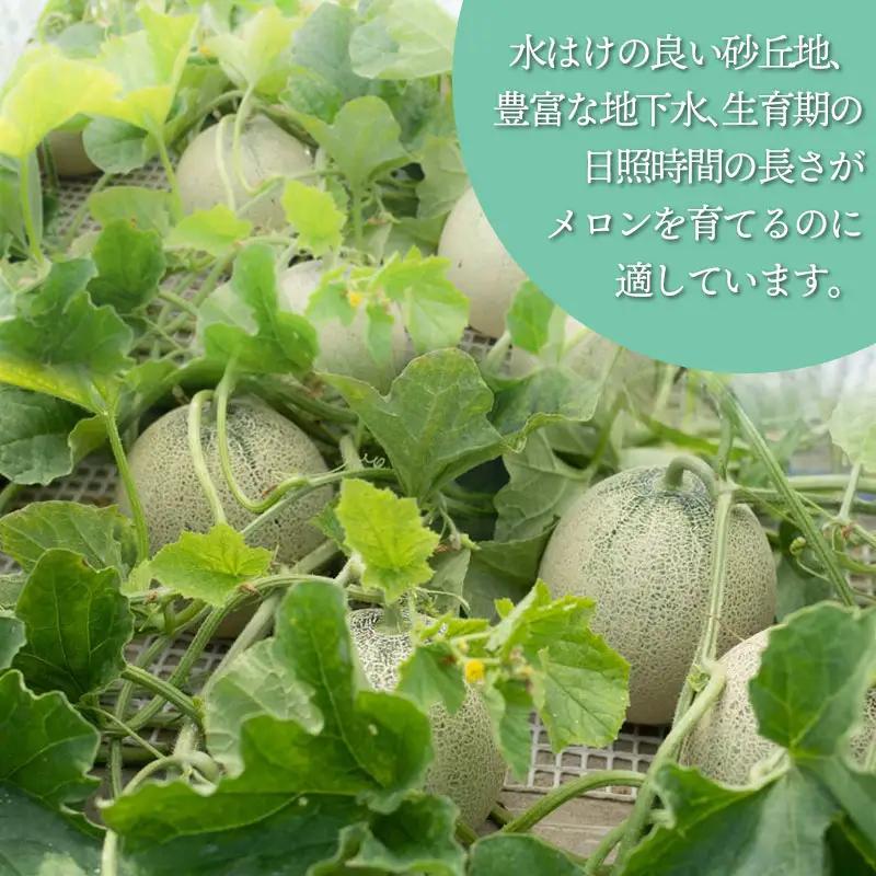 庄内砂丘アンデスメロン 約5kg (3～5玉) 令和9年産 K-935 佐藤農園