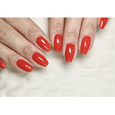 
            大人シンプルネイル＜ワンカラー＞1回分【1557425】
          