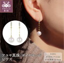 【ふるさと納税】 ピアス レディース ジュエリー アクセサリー アコヤ真珠 ダイヤモンド トータル0.12ct K18 イエローゴールド YG パール ギフト プレゼント ケース付 鑑別書付 保証書付 k120-048