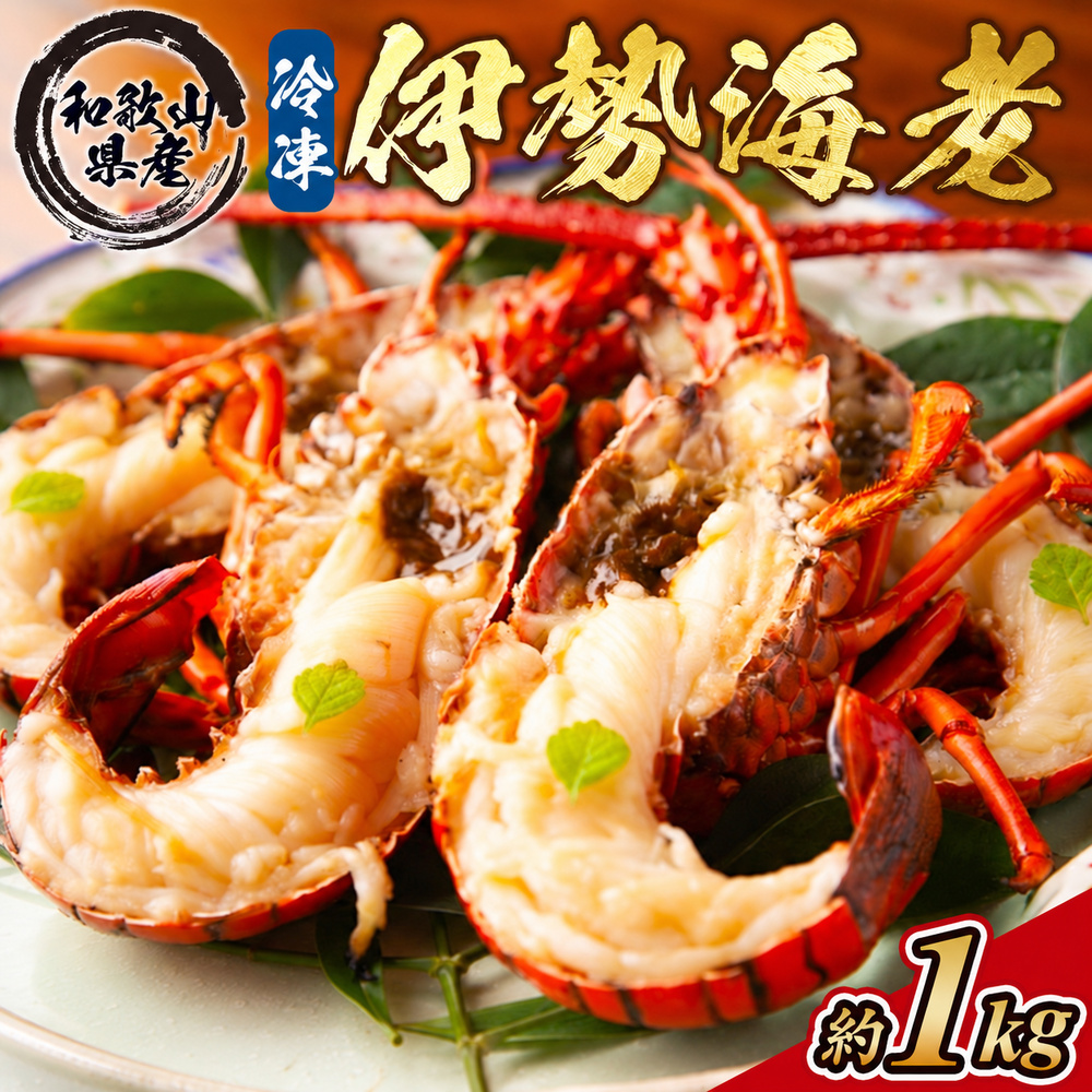 地元産 冷凍伊勢海老カット(サイズ不揃い）約1kg◇