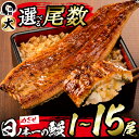 【丑の日までにお届け！7月14日入金まで】うなぎ生産量日本一の鹿児島県産！日ノ本一の鰻の蒲焼き＜大＞5尾セット(計950g以上)たれ、山椒付き！「酸素たっぷり贅沢水」で育ったおいしいウナギ【日鰻】c