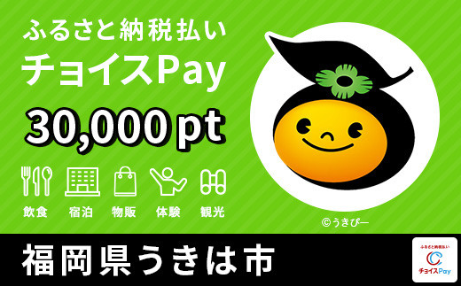 
うきは市チョイスPay 30,000pt（1pt＝1円）【会員限定のお礼の品】
