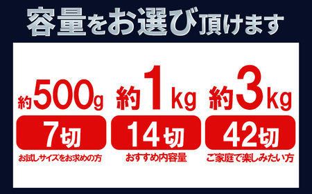 訳あり 塩サバ 切り身 約500g (約6切前後入り) 冷凍 鯖 塩 さば 魚 さかな 海鮮 海産物 おかず サバ 鯖ご飯 おすすめ 人気 さば サバ 鯖 魚 魚介 海鮮 惣菜 塩サバ 塩鯖 焼き鯖 