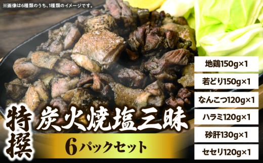 特撰 塩三昧 6パックセット