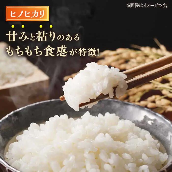 〈令和7年度産米〉【3回定期便】 ヒノヒカリ・にこまる 白米 食べ比べ 計10kg（5kg×2袋）【竹下農園】[ZEL011]