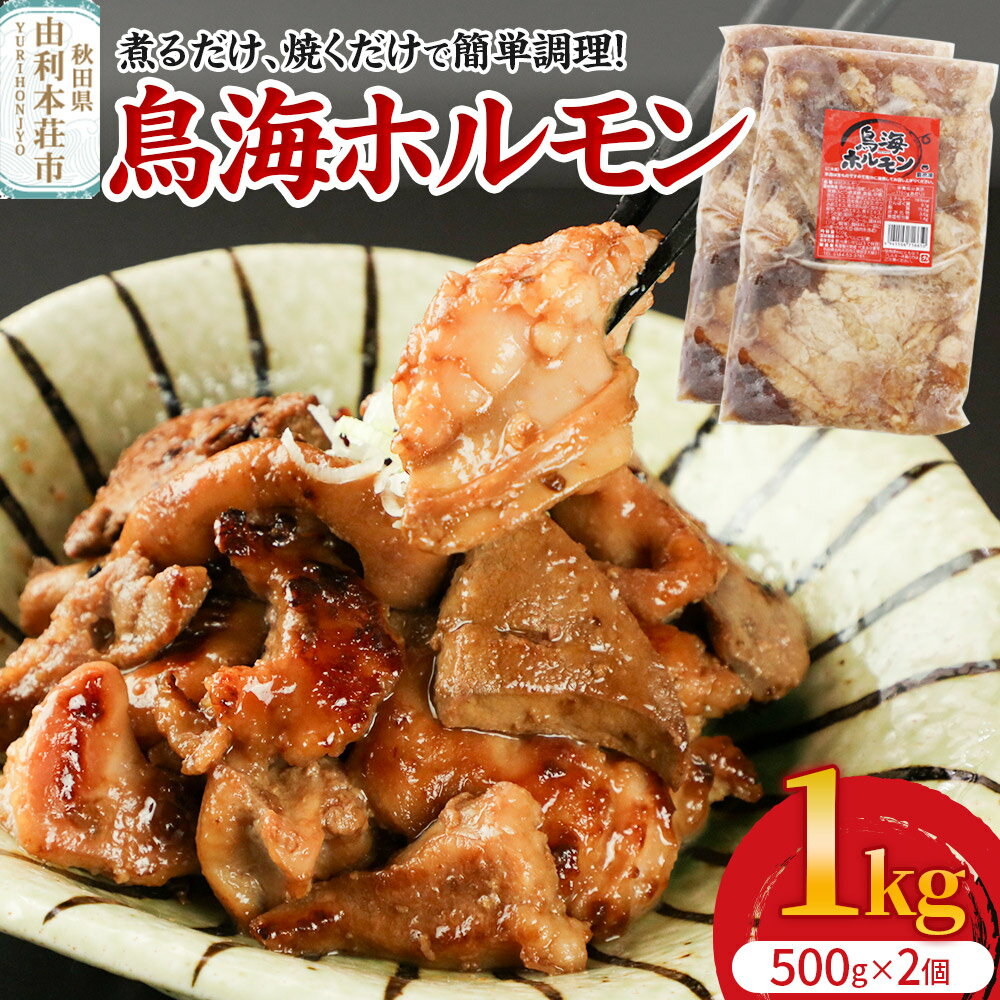 【ふるさと納税】鳥海ホルモン 2個入（500g×2）