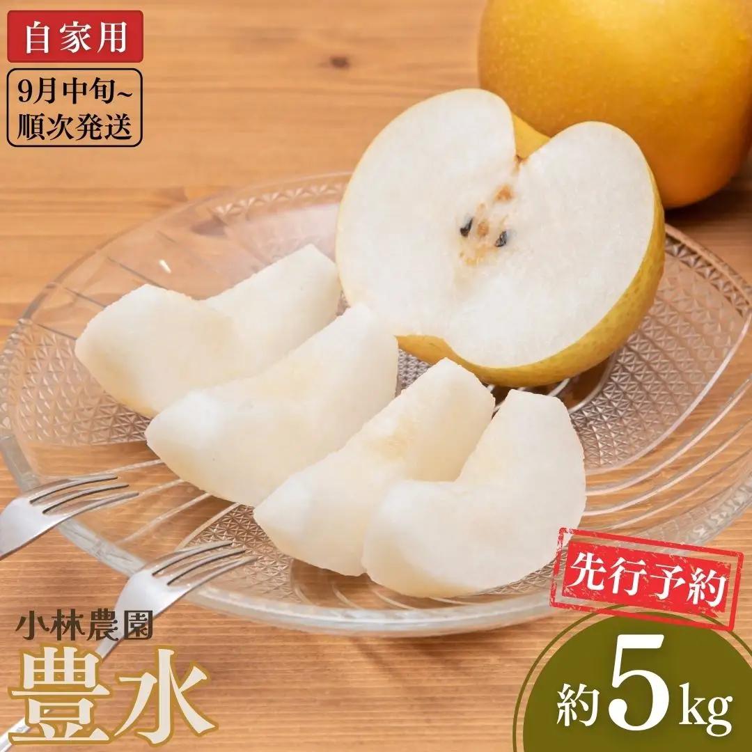 先行予約 和梨 豊水 自家用 約5kg 新潟県 三条市 小林農園