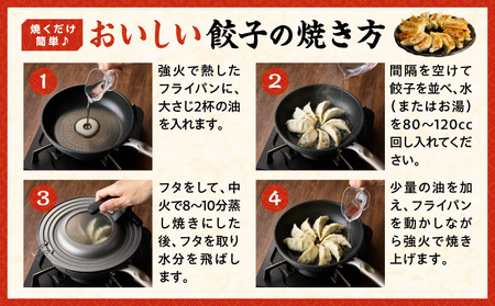 【簡易包装】屋台骨 宮崎餃子(60個×2袋) 餃子 ギョウザ ぎょうざ 宮崎県産 ブランドポーク 生餃子 屋台骨 簡易包装 レシピ同封 手仕込み