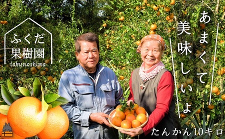 《今が旬！》ねぇ美味しいよ。徳之島 ふくだ果樹園さんのたんかん（10kg）( タンカン フルーツ みかん 果物 柑橘 福田果樹園 徳之島 奄美 鹿児島 もぎたて フレッシュ 世界自然遺産 先行予約 )